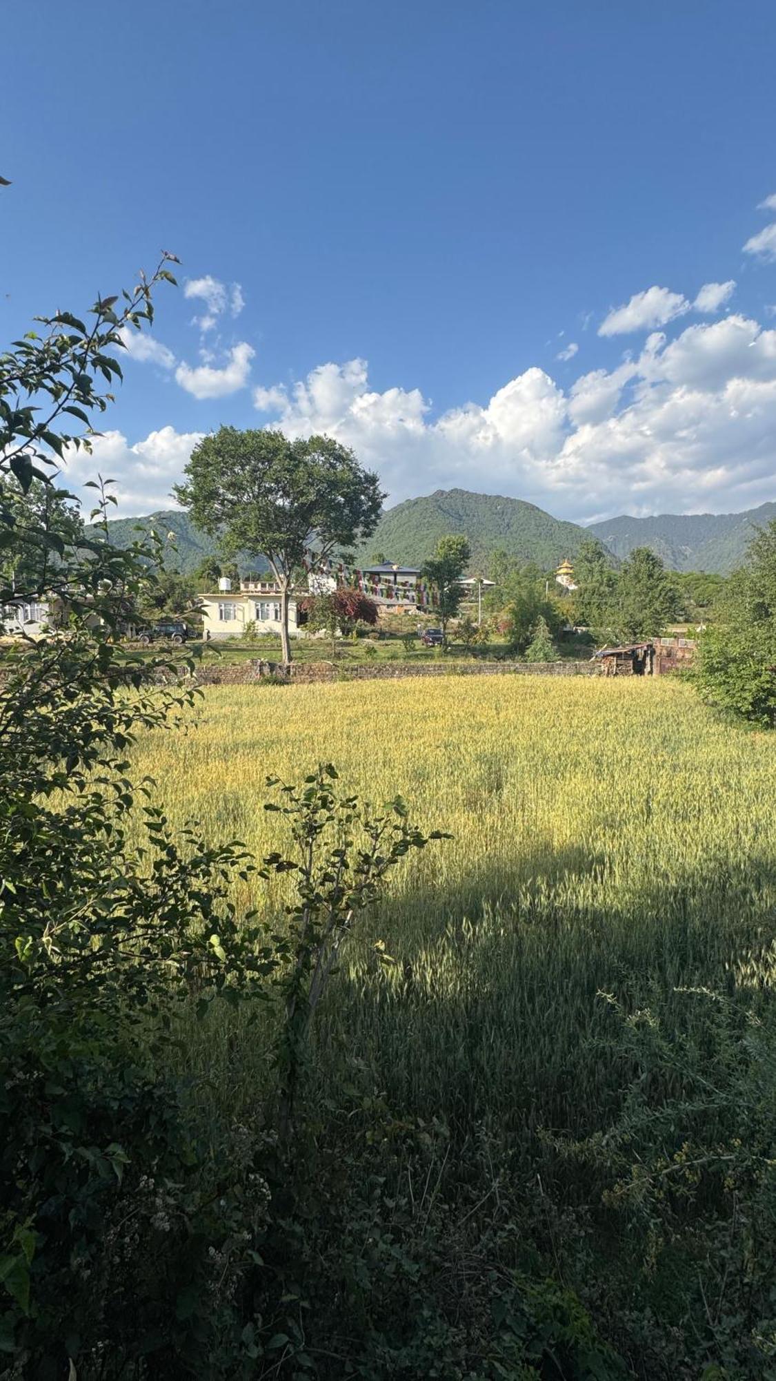 Namlang Resort Bīr Exteriör bild